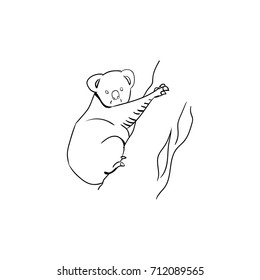 koala icon outline
