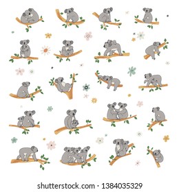 Koala illustrations hand drawn vector set