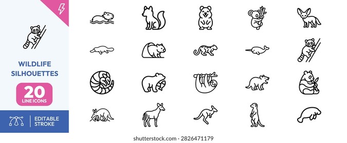 Koala, kangaroo, possum, mouse, hedgehog, chameleon, snake, frog, armadillo, badger, and and turtle for ecological and conservation educational projects.