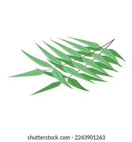 Koala leaf food icon isometric vector. Cute bear. Art design