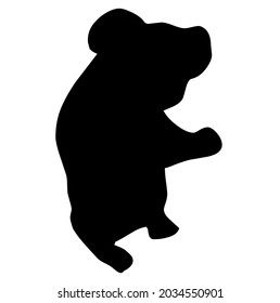 Koala, marsupial, animal living in forest, in Australia, wildlife, vector, illustration, in black and white color, isolated on white background 