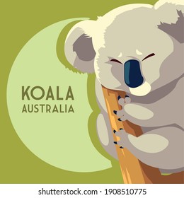 koala marsupial australian animal wildlife vector illustration