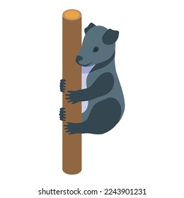 Koala move icon isometric vector. Cute bear. Leaf food