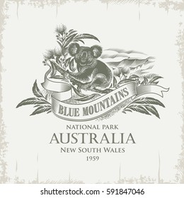 Koala, National Park, Blue Mountains, Australia, Vintage, Sepia, Illustration, Vector