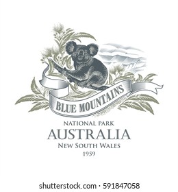 Koala, National Park, Blue Mountains, Australia, Illustration, Vector