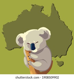 koala on branch tree australian animal wildlife map vector illustration