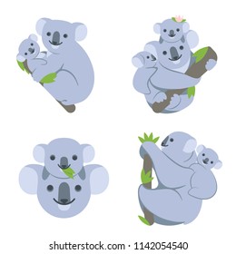 Koala on the branch with young babies. Koalas family hangs on a tree, scrambles, smiling. Set of simple cute vector illustrations of an animal, on a transparent background, in different poses.