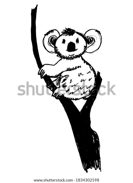 Koala On Branches Tree Zoo Motive Stock Vector (Royalty Free ...