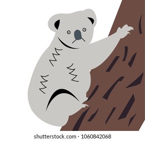 Koala on a tree