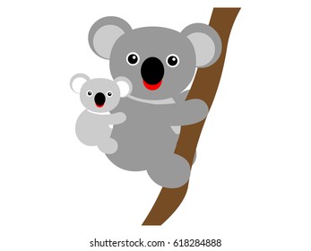 koala on the tree
