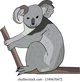 Koala on a tree branch. Australian animal. Cartoon