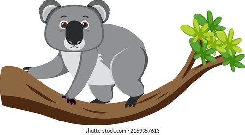 Koala on tree cartoon character illustration