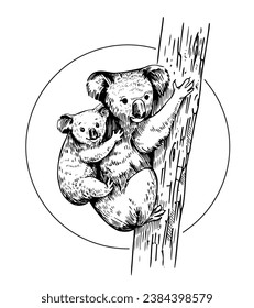 Koala on tree with child, black sketch vector illustration, isolated