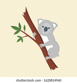 Koala on a tree isolated on white background. Flat style. Vector stock illustration.