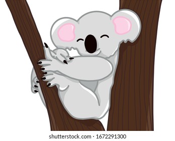 Koala on tree on white background