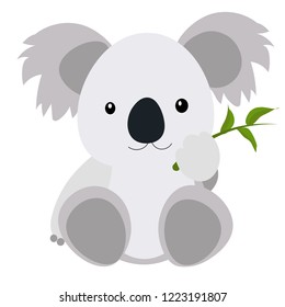 A koala is on a white background.