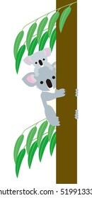Koala parent and child