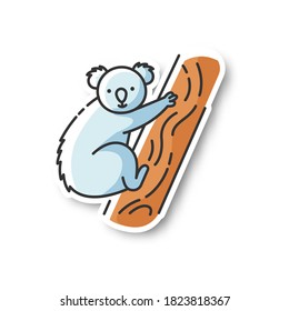 Koala patch. Cute herbivore animal, australian native fauna, exotic wildlife RGB color printable sticker. Adorable koala bear sitting on eucalyptus tree vector isolated illustration