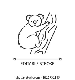 Koala pixel perfect linear icon. Exotic wildlife thin line customizable illustration. Contour symbol. Adorable koala bear sitting on eucalyptus tree vector isolated outline drawing. Editable stroke