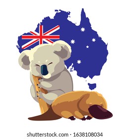 koala and platypus with map of australia in the background vector illustration design