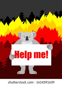 Koala with poster -Help me. Fire in Australia. vector illustration