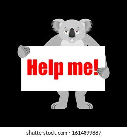 Koala with poster -Help me. Fire in Australia. vector illustration