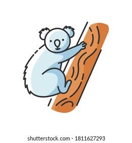 Koala RGB color icon. Cute herbivore animal, australian native fauna, exotic wildlife. Adorable koala bear sitting on eucalyptus tree isolated vector illustration