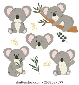 Children’s koala set in flat style isolated on white background, vector illustration. Baby animal in different poses. Vector illustration