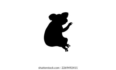 Koala silhouette, hochwertiger Vektorgrafik