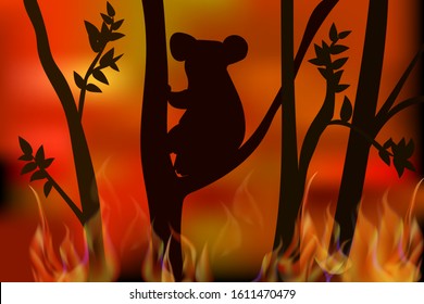 Koala sits on a tree in a burning forest flat image