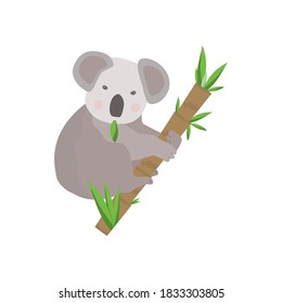 Koala is sitting on a eucalyptus branch. Koala bear eats a leaf. Animals of Australia. For sticker, baby clothes, phone case or laptop cover. Vector