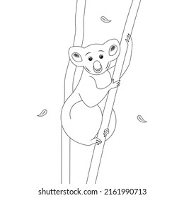Koala. Sketch. Vector illustration. The animal embraced the dry eucalyptus trunk. Teddy bear from Australia. Leaves fall to the ground. Outline on isolated background. Coloring book. Doodle style. 