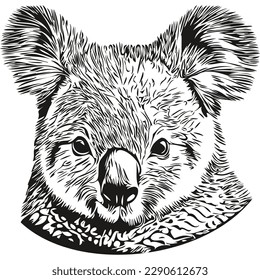 Koala sketchy, graphic portrait of a Koala on a white background, koala bear
