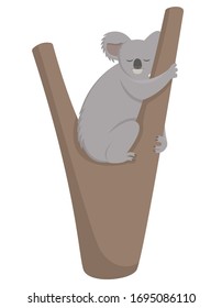 Koala sleeping on branch. Cute animal in cartoon style.