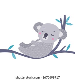 Koala schlief auf dem Baumzweig. Vektorillustration mit flauschigem grauem Koala-Bär und Eukalyptus-Baum auf weißem Hintergrund