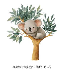 Koala sleeping on tree branch peacefully