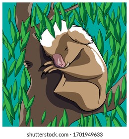 A Koala sleeps in a tree. Vector illustration