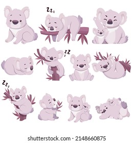 Koala species icons cute gestures sketch cartoon characters SVG svg