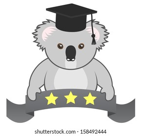 Koala student