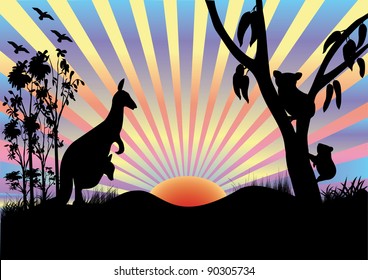 koala in  tree and kangaroo in sunset