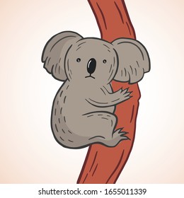 Koala. Vector color illustration in cartoon style. Drawing of a cute koala on a tree.