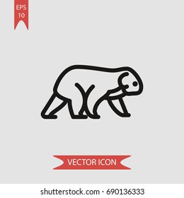 Koala vector icon, illustration symbol