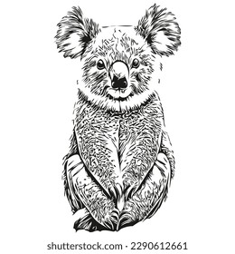 Koala, Vektorgrafik-Kunst, schwarz-weißer Koala-Bär
