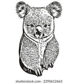 Koala, Vektorgrafik-Kunst, schwarz-weißer Koala-Bär
