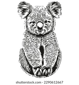 Koala vector illustration line art drawing black and white koala bear
