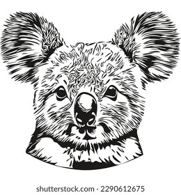 Koala vector illustration line art drawing black and white koala bear
