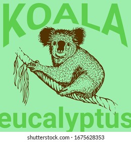 Koala vector illustration on green background. Australian bear on the eucalyptus tree. Engraving, vintage, retro, modern style. Koala image for t-shirt, poster, flyer, social media, brochure