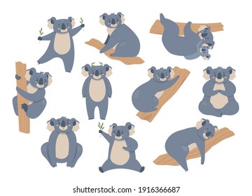 Koala vector illustration set. Cartoon cute furry animals characters in different poses collection, gray bear koalas climbing eucalyptus tree, sitting and eating, alone or with baby isolated on white