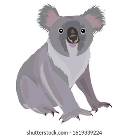 koala vector illustration.  Simple realistic not bear but marsupials. Animal from Australia. Flat Character Logo pouched mammal.