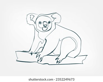 línea vectorial de koala arte animal vida silvestre simple ilustración de una línea dibujada a mano aislada